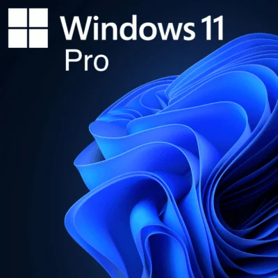Windows 11 Professional 32/64 bit